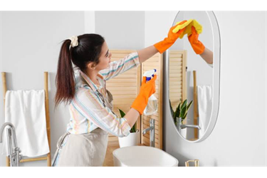 Bathroom Cleaning