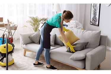 Furniture & Upholstery