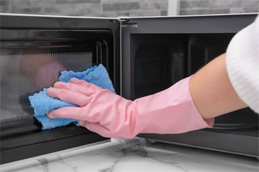MICROWAVE CLEANING