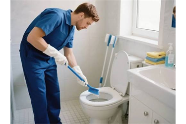 TOILET DESCALING