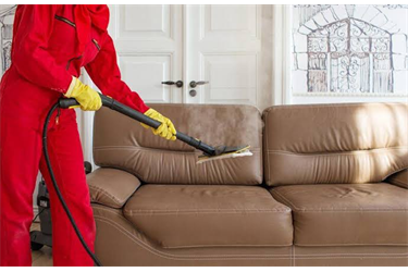 SOFA SHAMPOOING