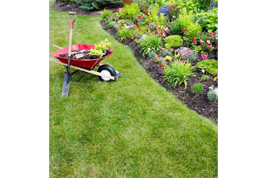 GARDEN CLEANING
