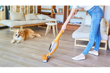 PET AREA CLEANING